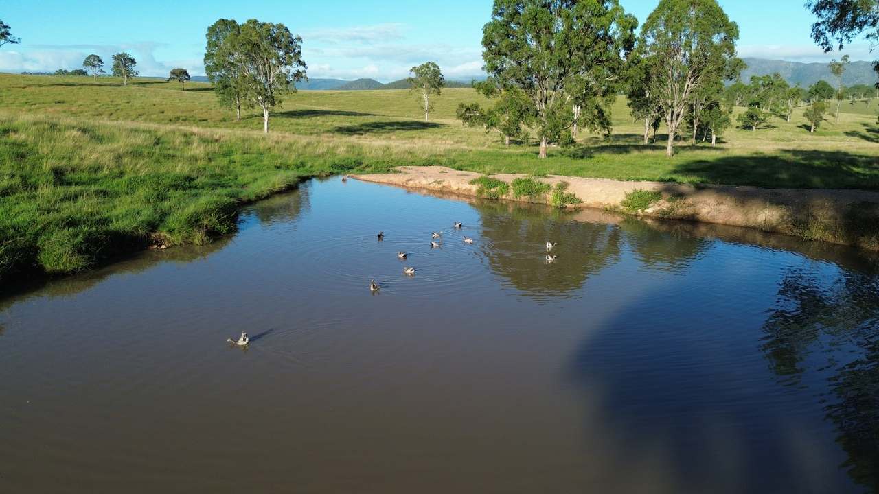 449 Little Widgee Road, Widgee Auction by Farmbuy.com - image 7