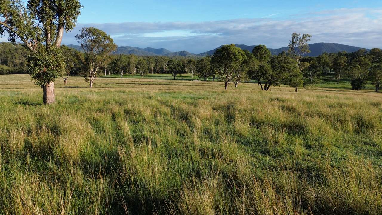 449 Little Widgee Road, Widgee Auction by Farmbuy.com - image 10