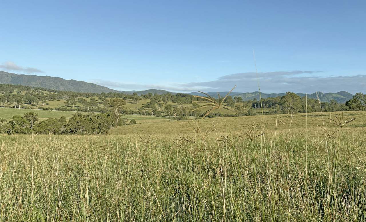 449 Little Widgee Road, Widgee Auction by Farmbuy.com - image 11