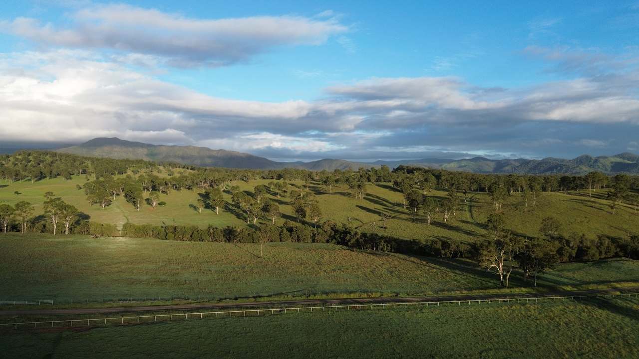449 Little Widgee Road, Widgee Auction by Farmbuy.com - image 8