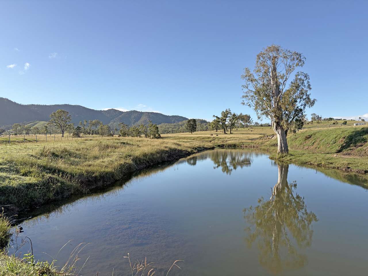 449 Little Widgee Road, Widgee Auction by Farmbuy.com - image 12