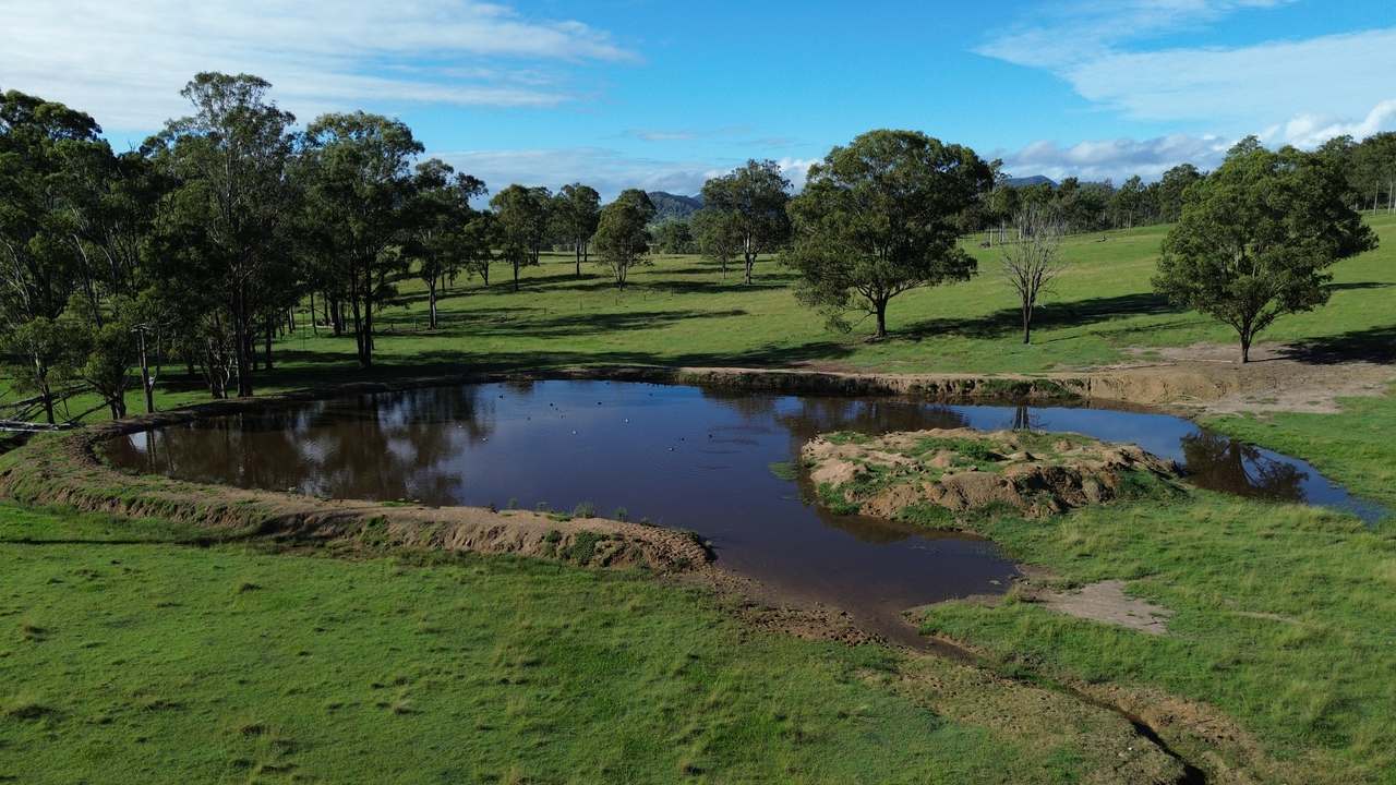 449 Little Widgee Road, Widgee Auction by Farmbuy.com - image 5