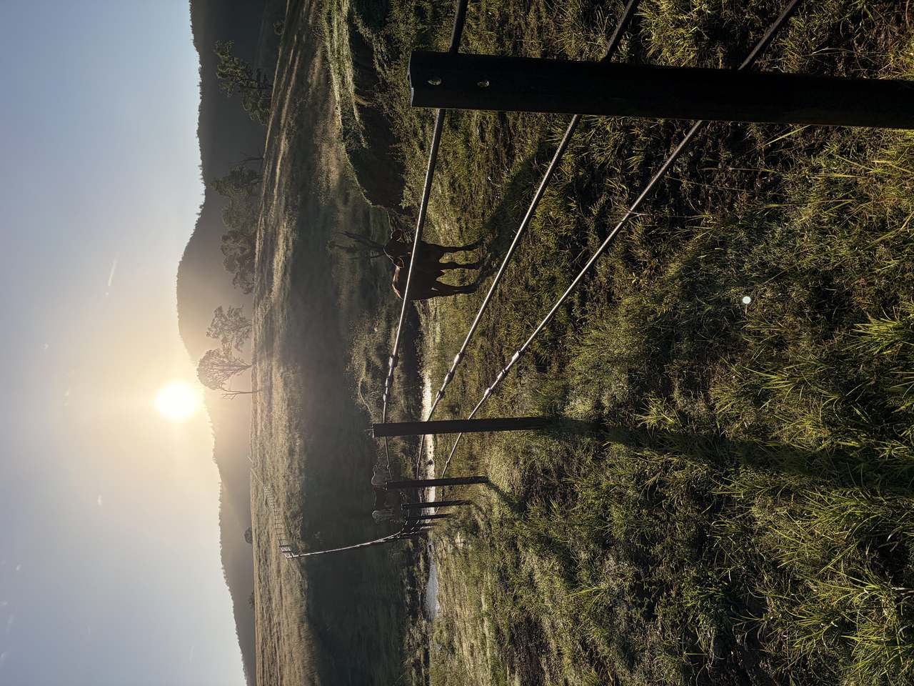 449 Little Widgee Road, Widgee Auction by Farmbuy.com - image 9