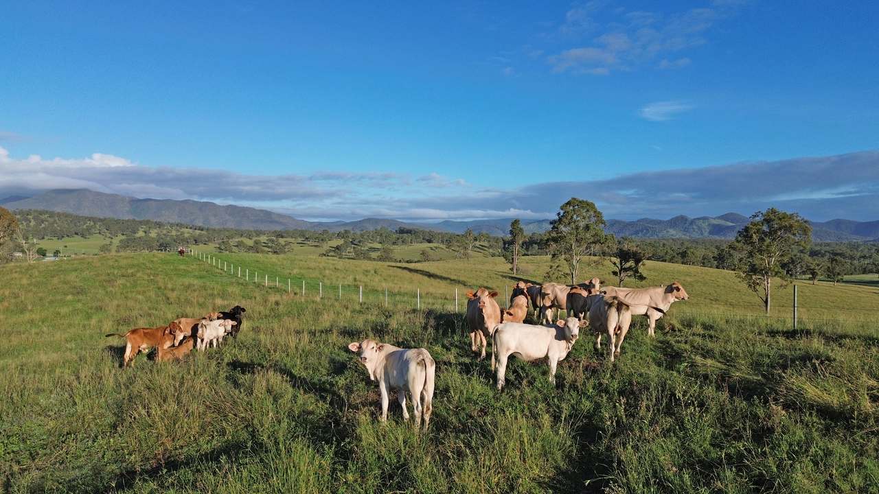 449 Little Widgee Road, Widgee Auction by Farmbuy.com - image 13