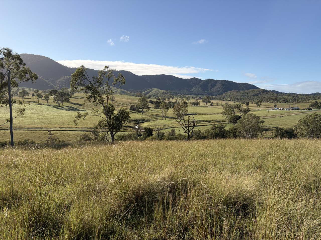 449 Little Widgee Road, Widgee Auction by Farmbuy.com - image 2