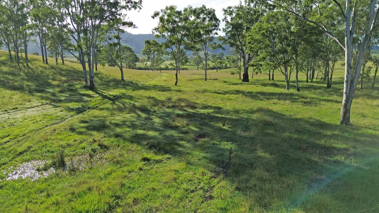449 Little Widgee Road, Widgee Auction by Farmbuy.com - image 15