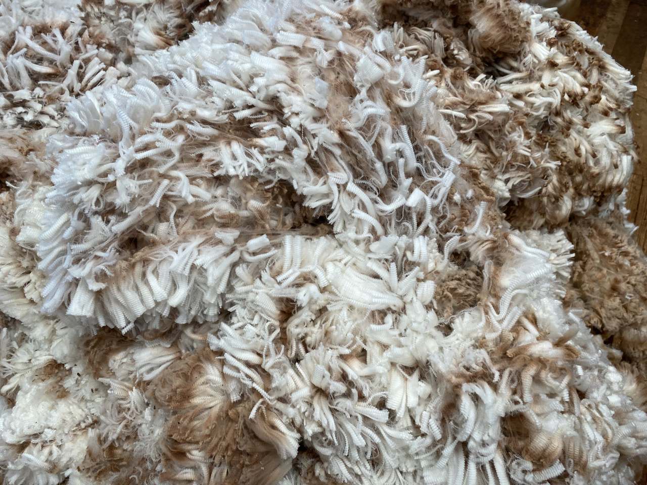 Block 829 Mount Ive Station, Via Port Augusta Expressions of Interest by Farmbuy.com - image 9