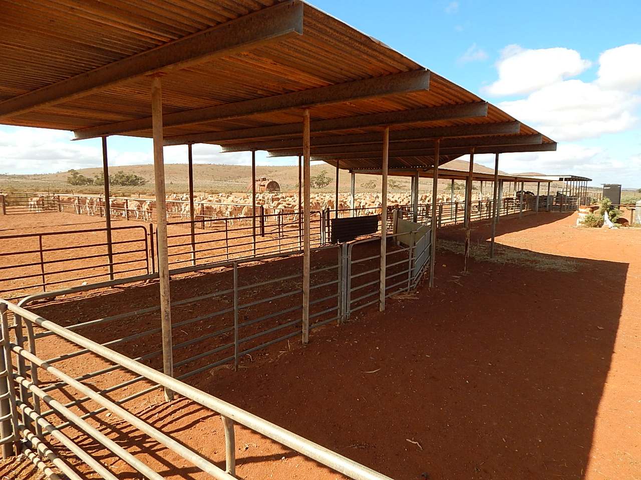 Block 829 Mount Ive Station, Via Port Augusta Expressions of Interest by Farmbuy.com - image 5