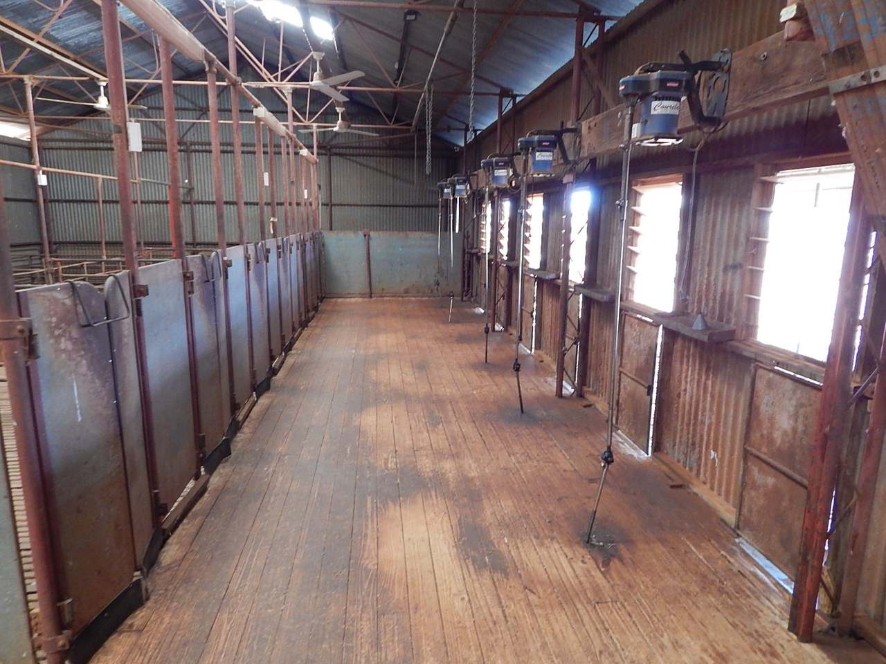 Block 829 Mount Ive Station, Via Port Augusta Expressions of Interest by Farmbuy.com - image 7