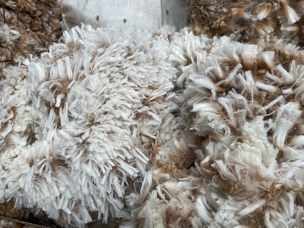 Block 829 Mount Ive Station, Via Port Augusta Expressions of Interest by Farmbuy.com - image 8