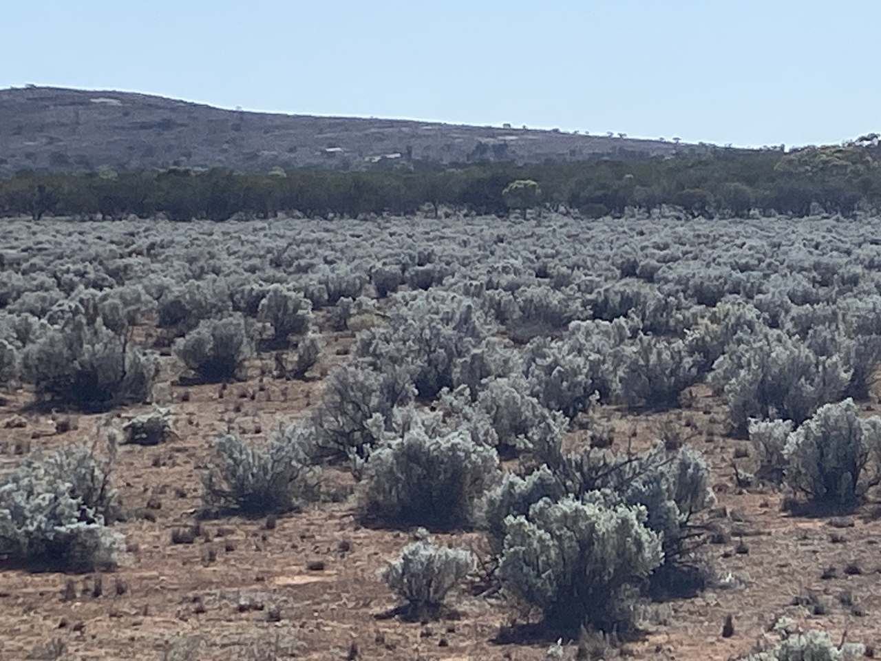 Block 829 Mount Ive Station, Via Port Augusta Expressions of Interest by Farmbuy.com - image 16