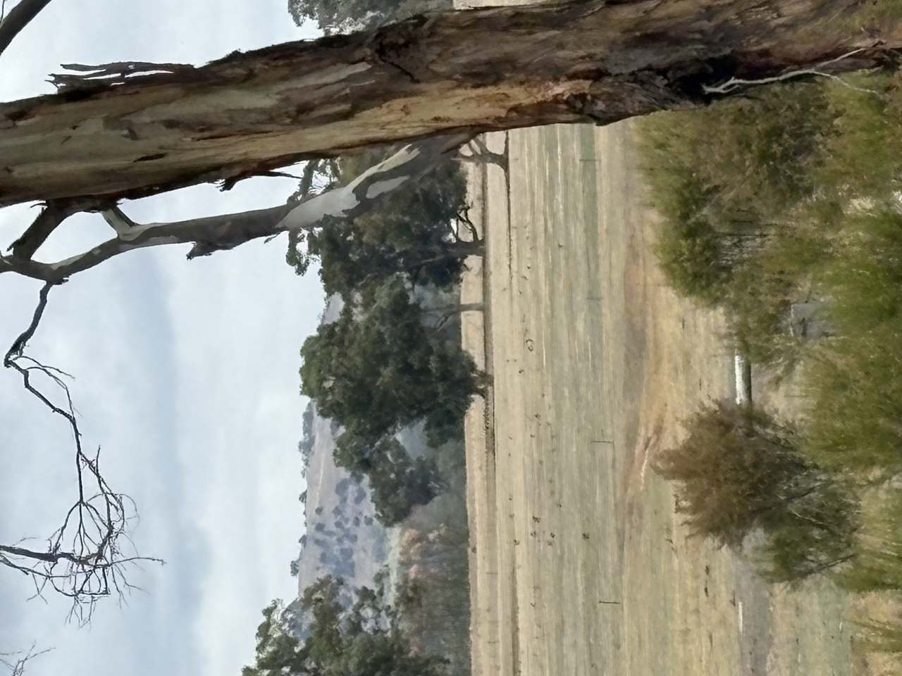 1/225 McDonalds Rd , Clunes For Sale by Farmbuy.com - image 1