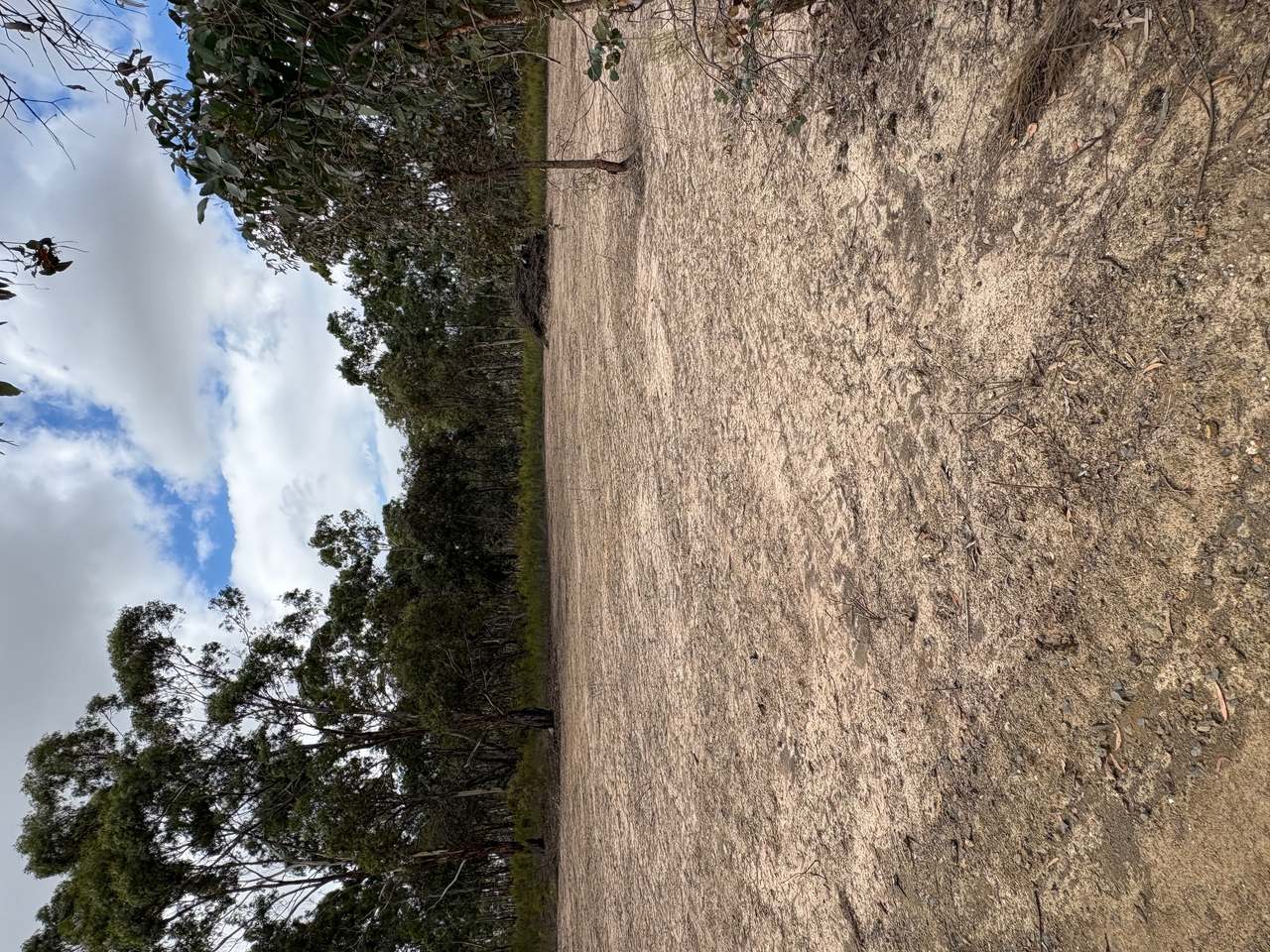 1/225 McDonalds Rd , Clunes For Sale by Farmbuy.com - image 5