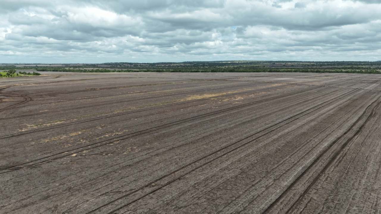 844 Corry Road , Capella Auction by Farmbuy.com - image 5