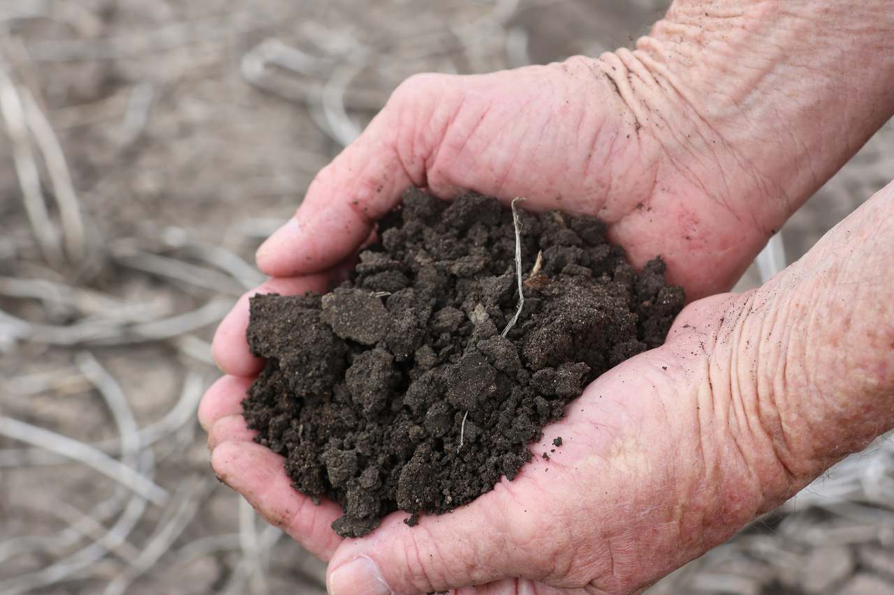 844 Corry Road , Capella Auction by Farmbuy.com - image 7