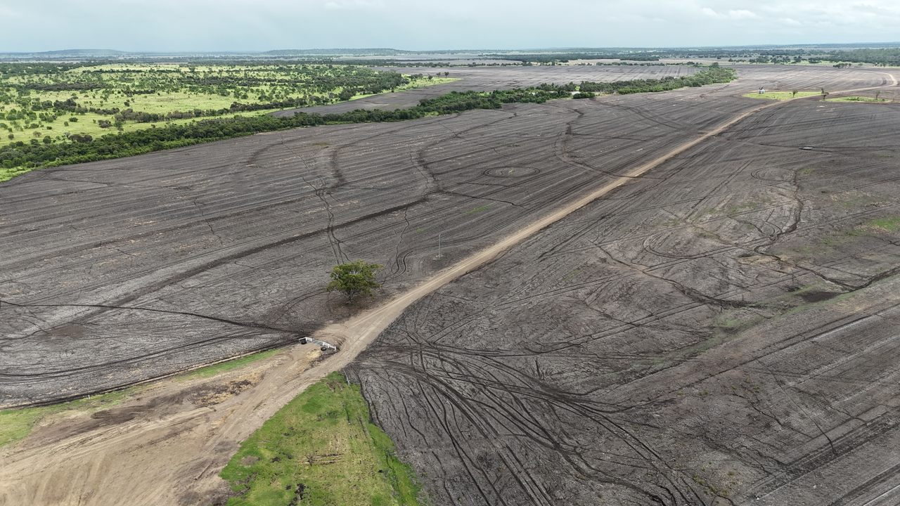 844 Corry Road , Capella Auction by Farmbuy.com - image 3