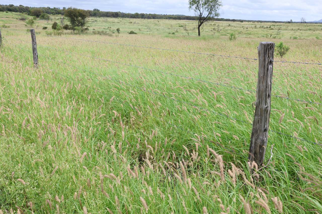 844 Corry Road , Capella Auction by Farmbuy.com - image 12