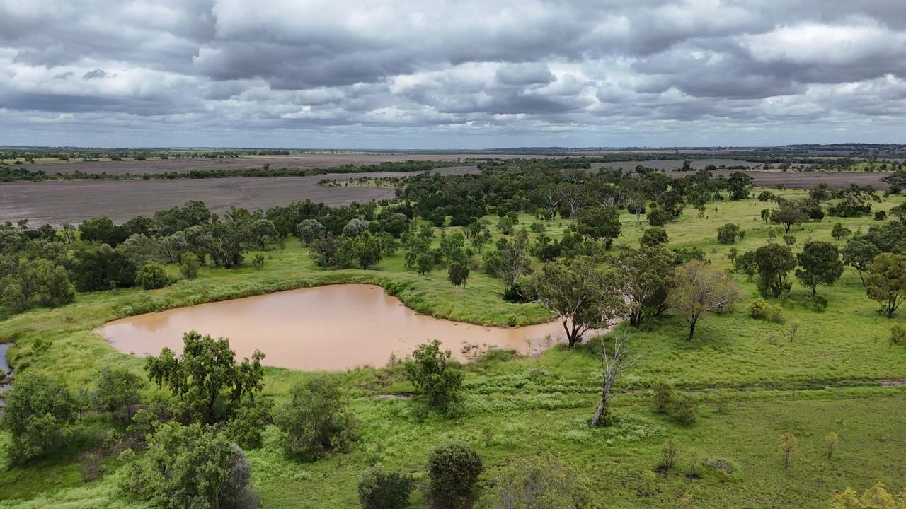 844 Corry Road , Capella Auction by Farmbuy.com - image 11