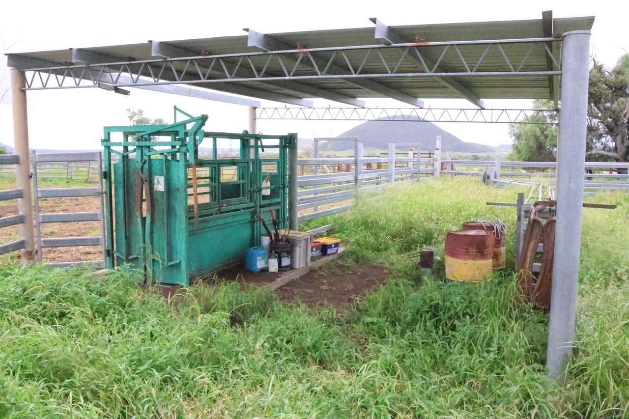 844 Corry Road , Capella Auction by Farmbuy.com - image 16