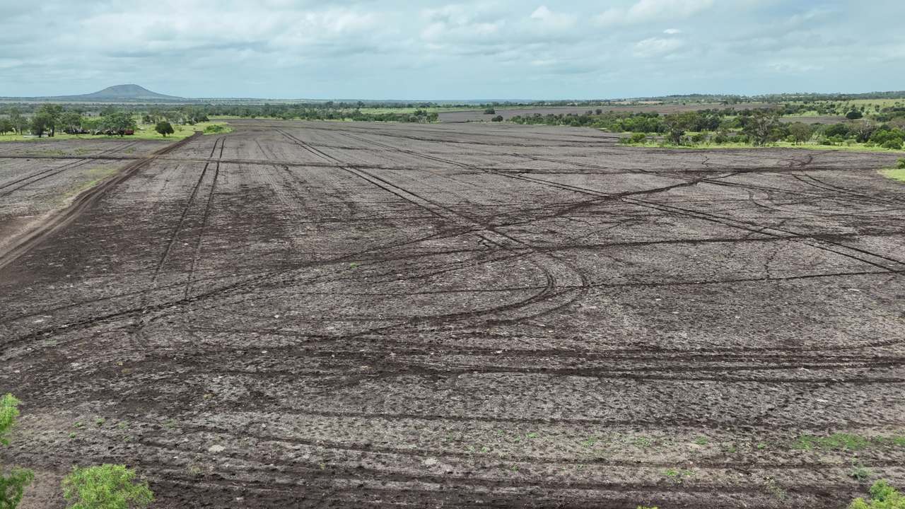 844 Corry Road , Capella Auction by Farmbuy.com - image 4