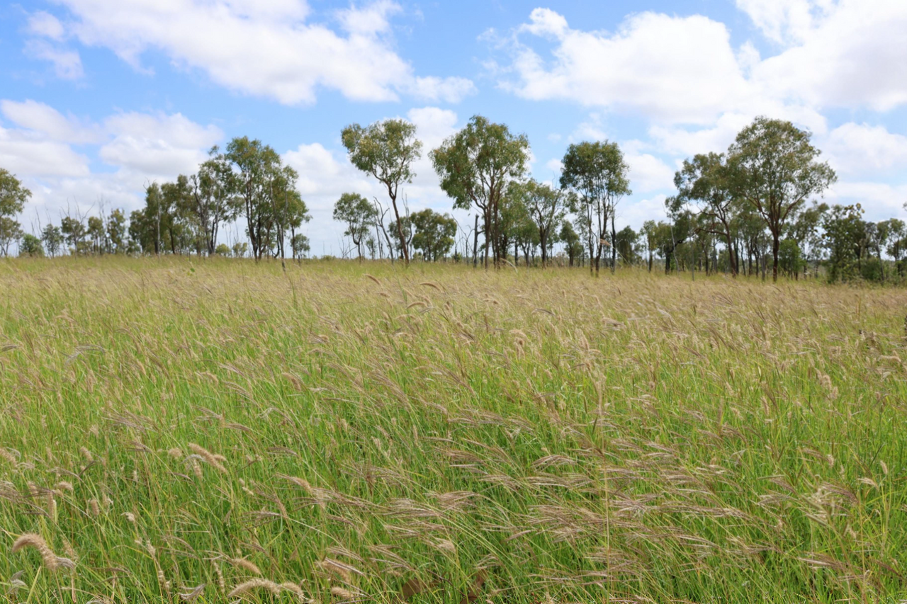 2470 Clermont Rubyvale Road, Clermont  Auction by Farmbuy.com - image 9