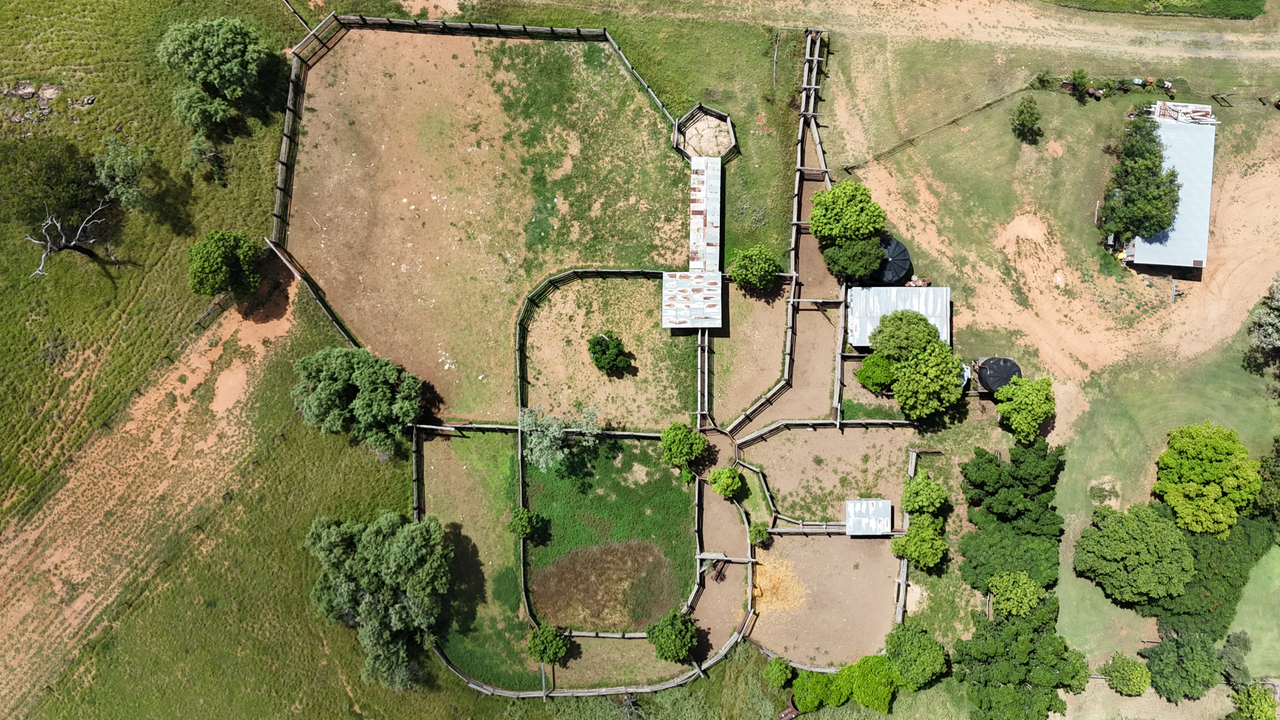 2470 Clermont Rubyvale Road, Clermont  Auction by Farmbuy.com - image 17