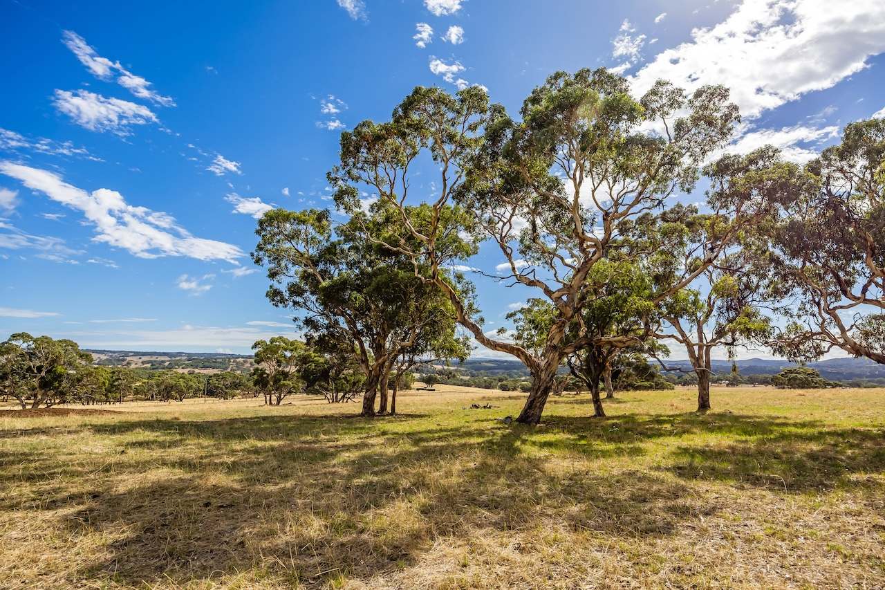 109 Days Road, Kangarilla Expressions of Interest by Farmbuy.com - image 53