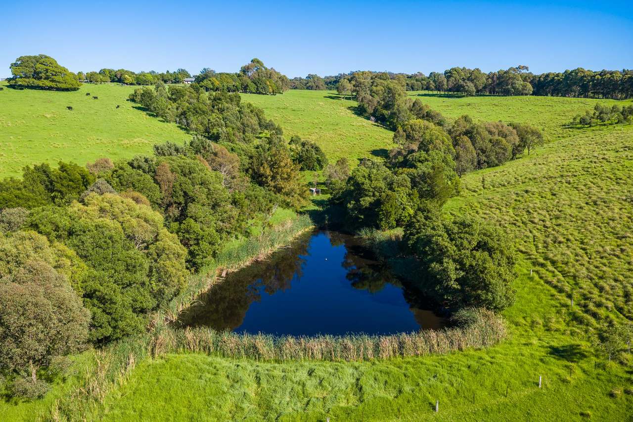 259 Barrabooka Road TANJA NSW 2550, Tanja For Sale by Farmbuy.com - image 45