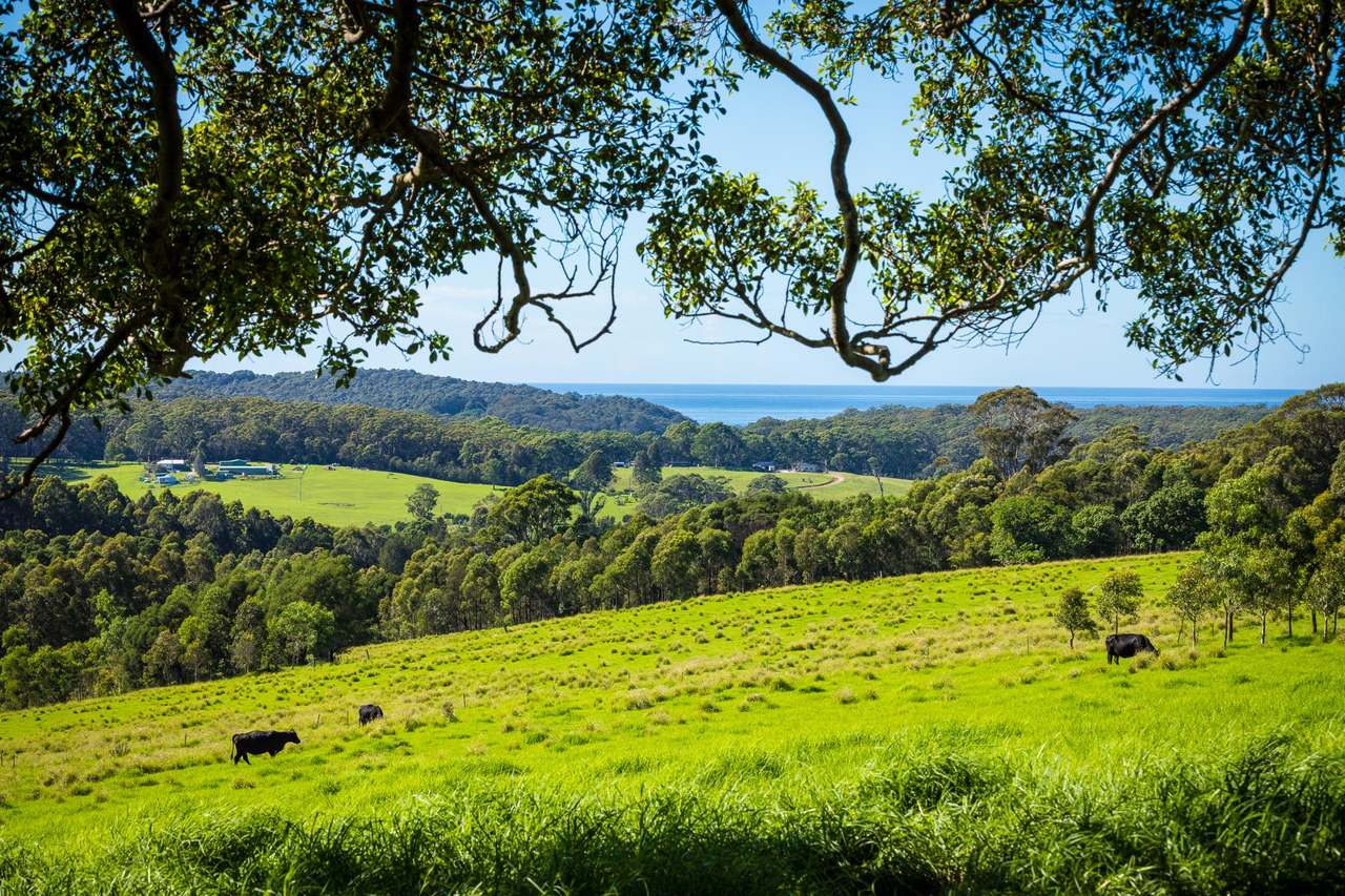 259 Barrabooka Road TANJA NSW 2550, Tanja For Sale by Farmbuy.com - image 40