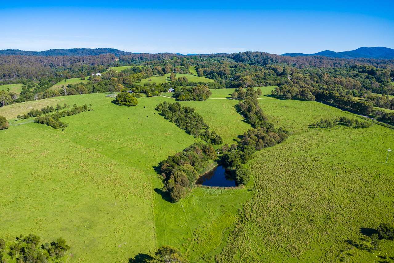259 Barrabooka Road TANJA NSW 2550, Tanja For Sale by Farmbuy.com - image 44