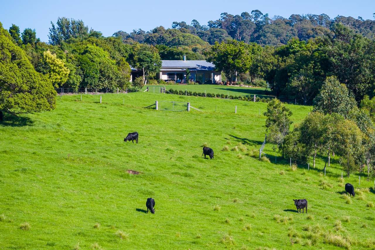 259 Barrabooka Road TANJA NSW 2550, Tanja For Sale by Farmbuy.com - image 47