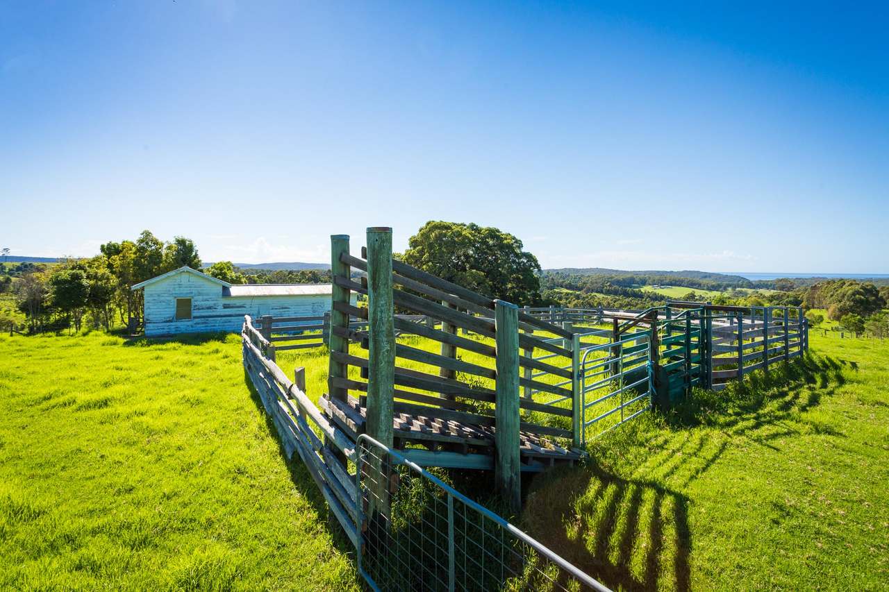 259 Barrabooka Road TANJA NSW 2550, Tanja For Sale by Farmbuy.com - image 37