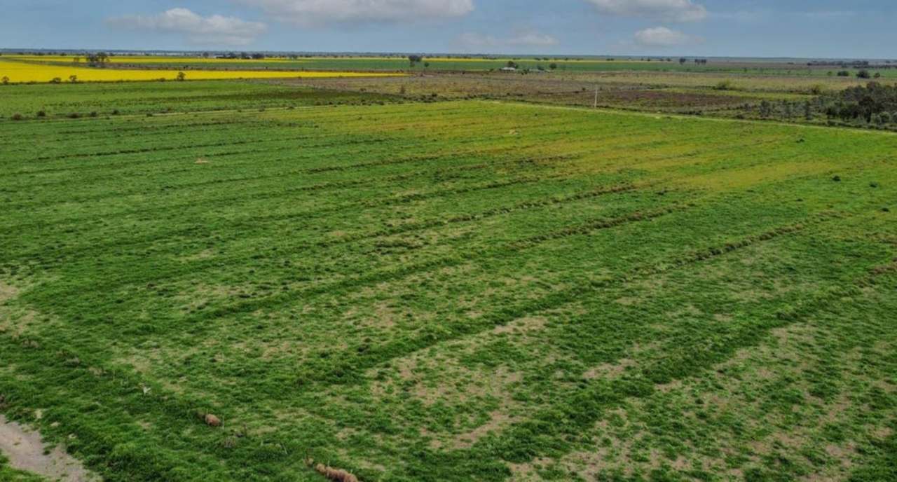 1D McAlister Road,  Benjeroop For Sale by Farmbuy.com - image 3