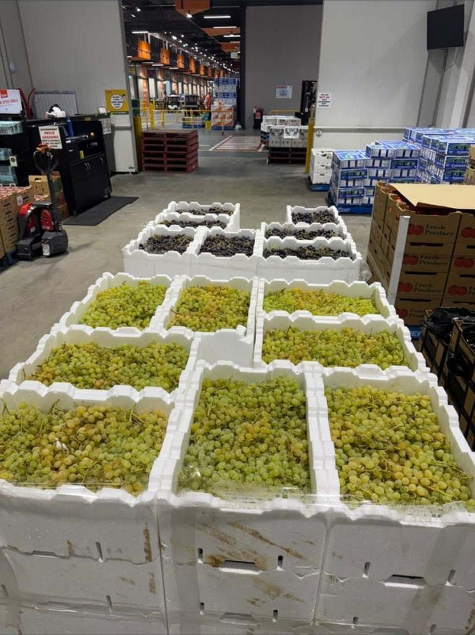 231 Falkiner Avenue & CooK Road Farm,  Tresco,  For Sale by Farmbuy.com - image 3