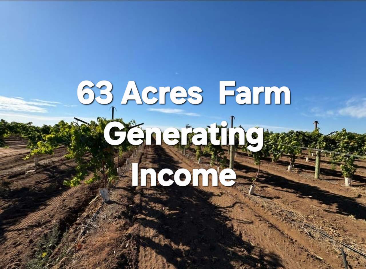 231 Falkiner Avenue & CooK Road Farm,  Tresco,  For Sale by Farmbuy.com - image 1