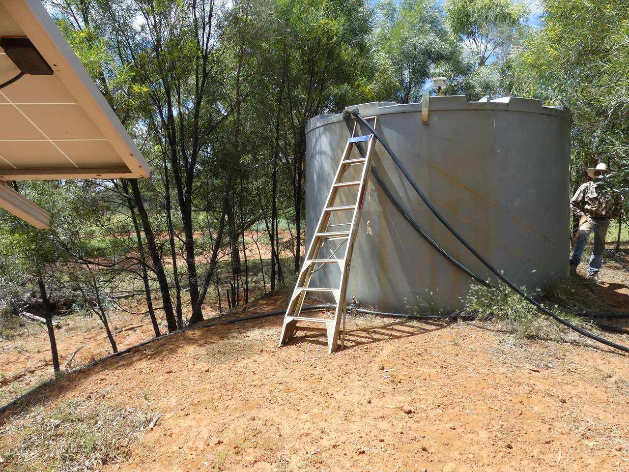 5388 Narbethong Road, Jericho Tender by Farmbuy.com - image 12