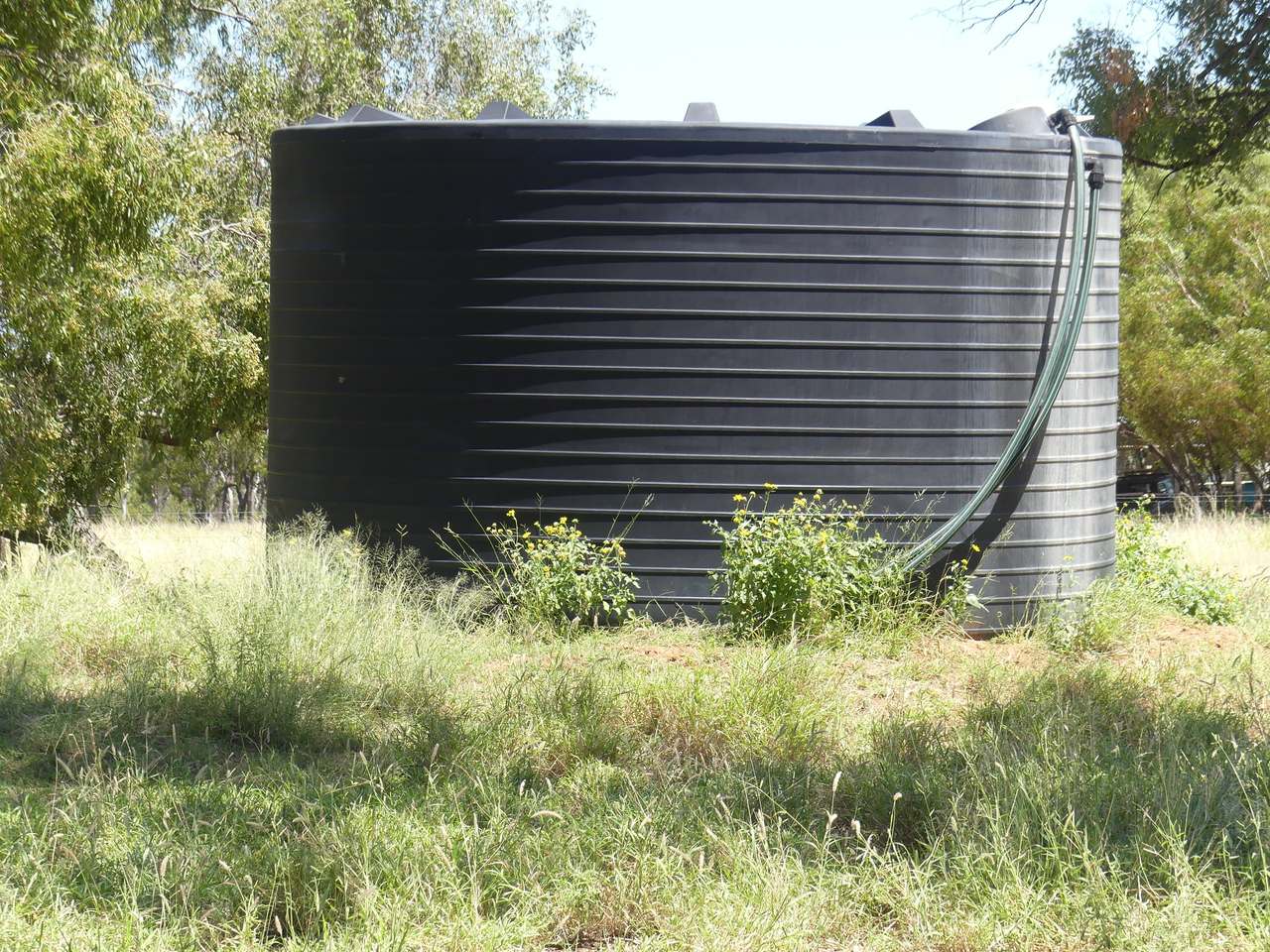 5388 Narbethong Road, Jericho Tender by Farmbuy.com - image 4