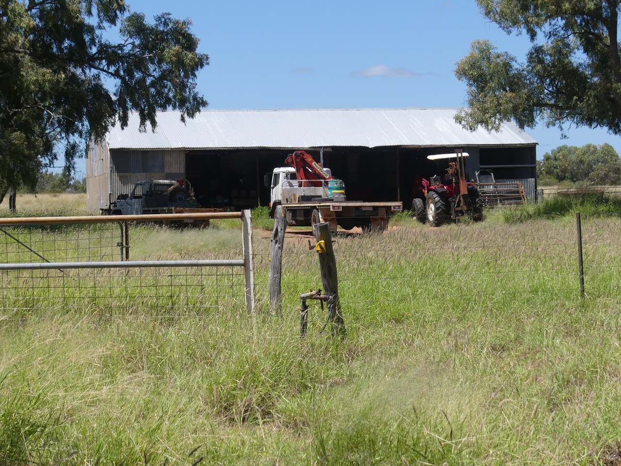 5388 Narbethong Road, Jericho Tender by Farmbuy.com - image 5