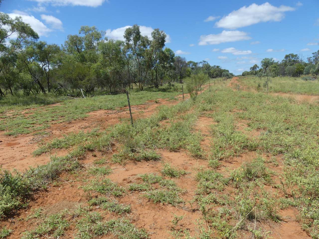 5388 Narbethong Road, Jericho Tender by Farmbuy.com - image 13