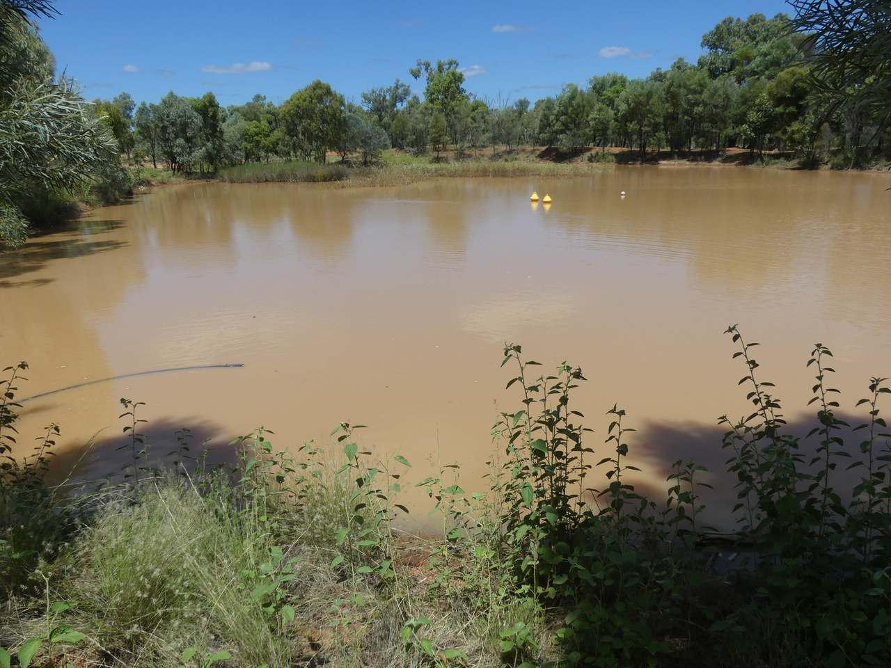 5388 Narbethong Road, Jericho Tender by Farmbuy.com - image 11