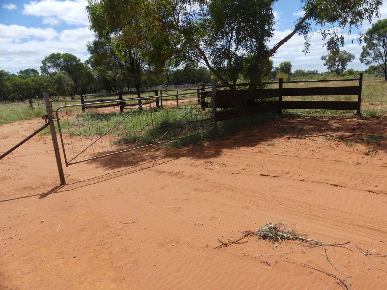 5388 Narbethong Road, Jericho Tender by Farmbuy.com - image 16