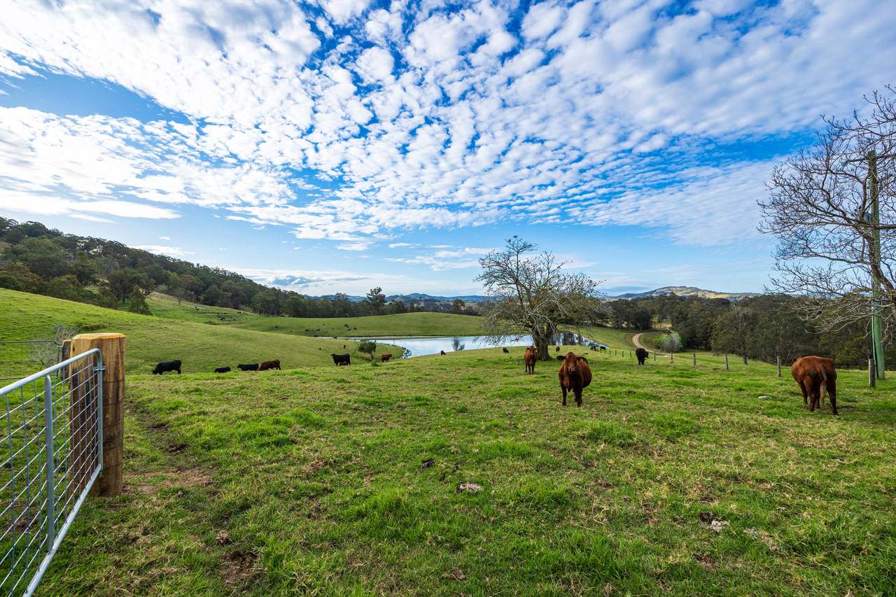 60A Harris Road, Bunyah For Sale by Farmbuy.com - image 14