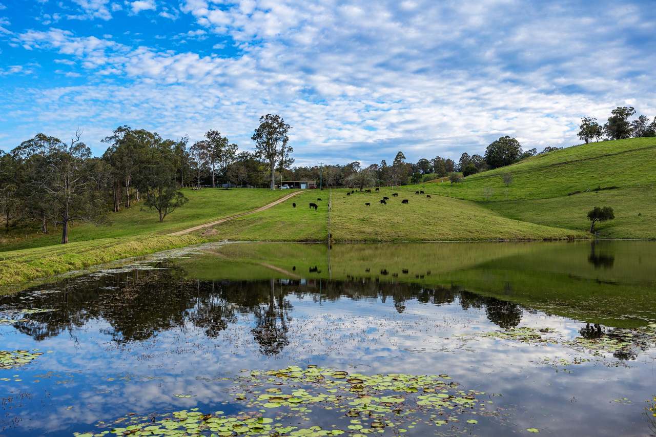 60A Harris Road, Bunyah For Sale by Farmbuy.com - image 2