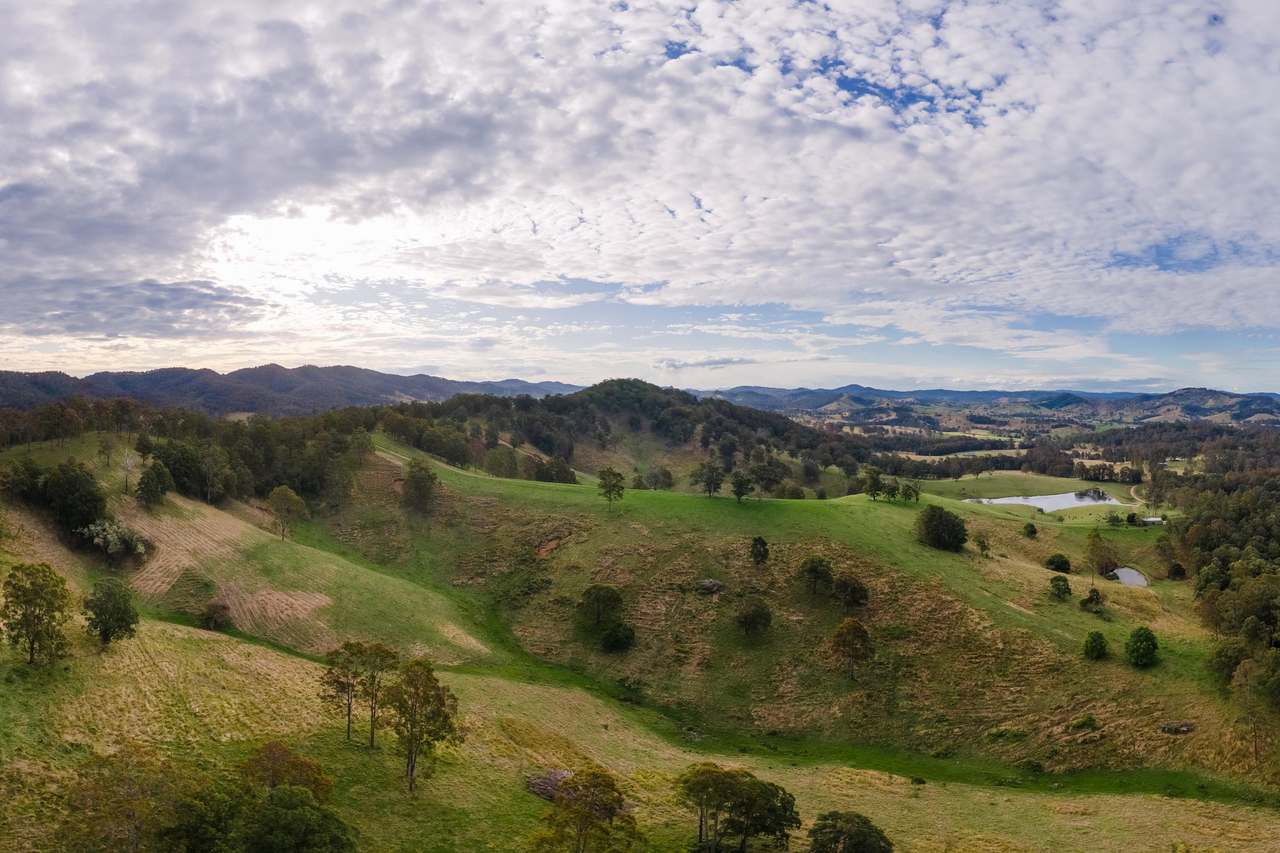 60A Harris Road, Bunyah For Sale by Farmbuy.com - image 6