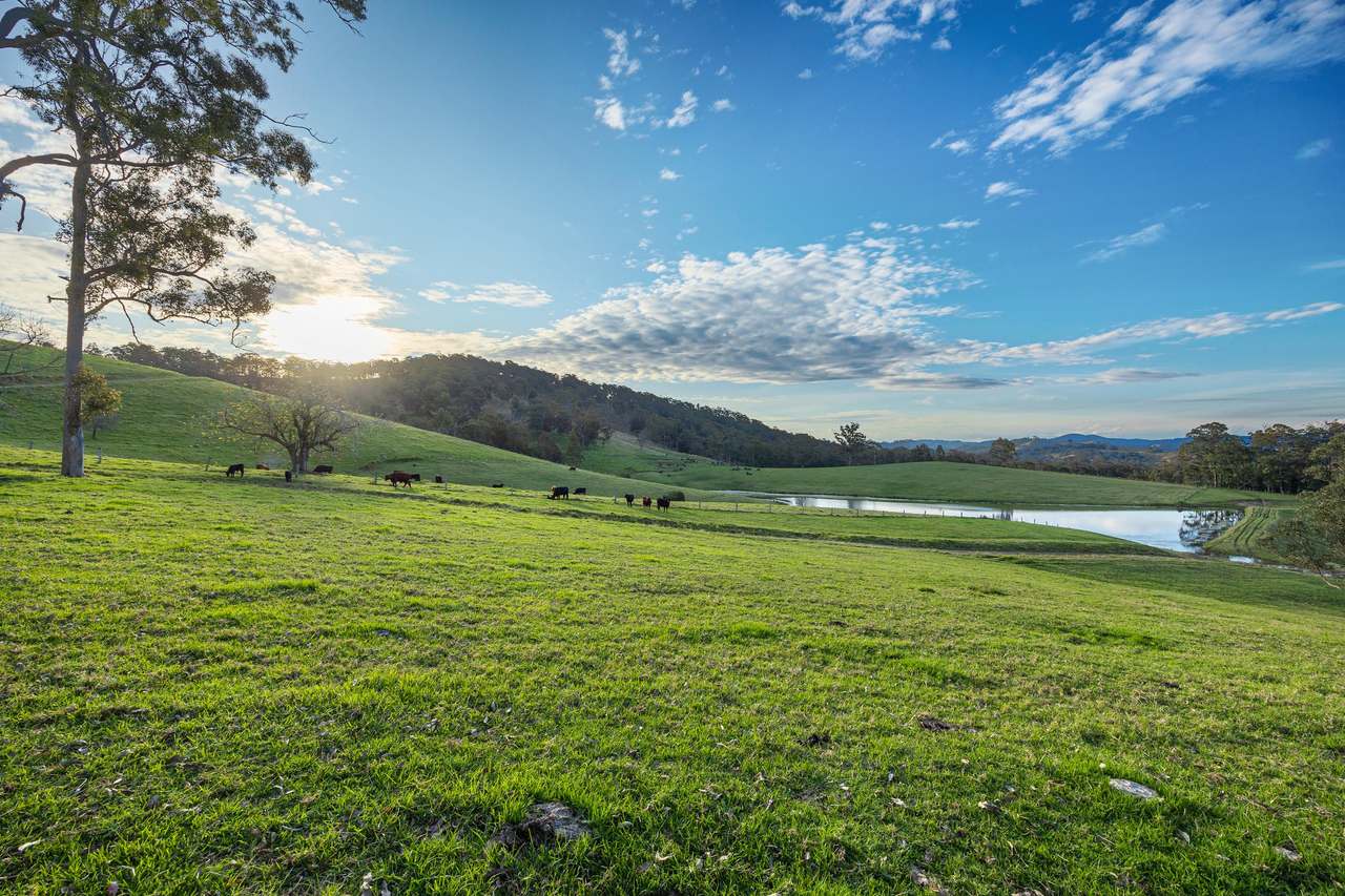 60A Harris Road, Bunyah For Sale by Farmbuy.com - image 16