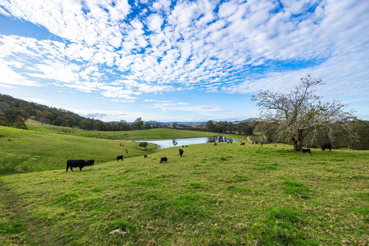 60A Harris Road, Bunyah For Sale by Farmbuy.com - image 4