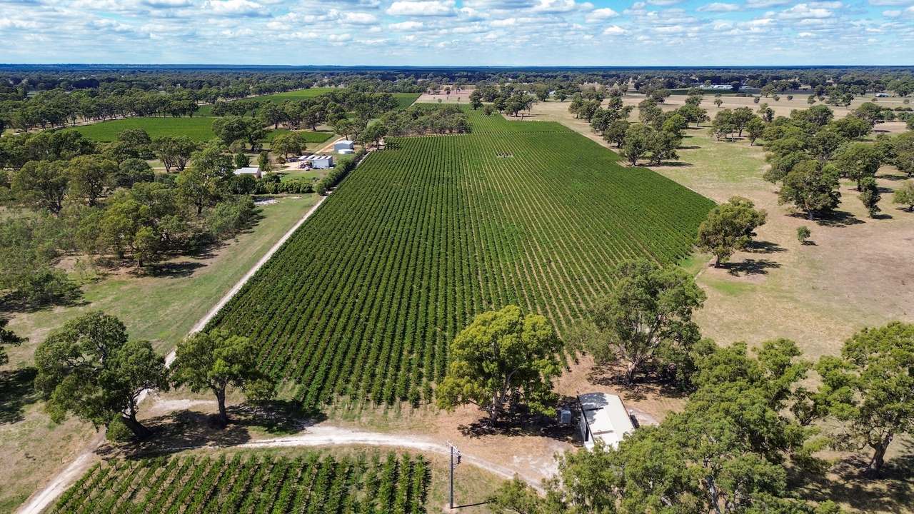 V&A Lane, Coonawarra For Sale by Farmbuy.com - image 17