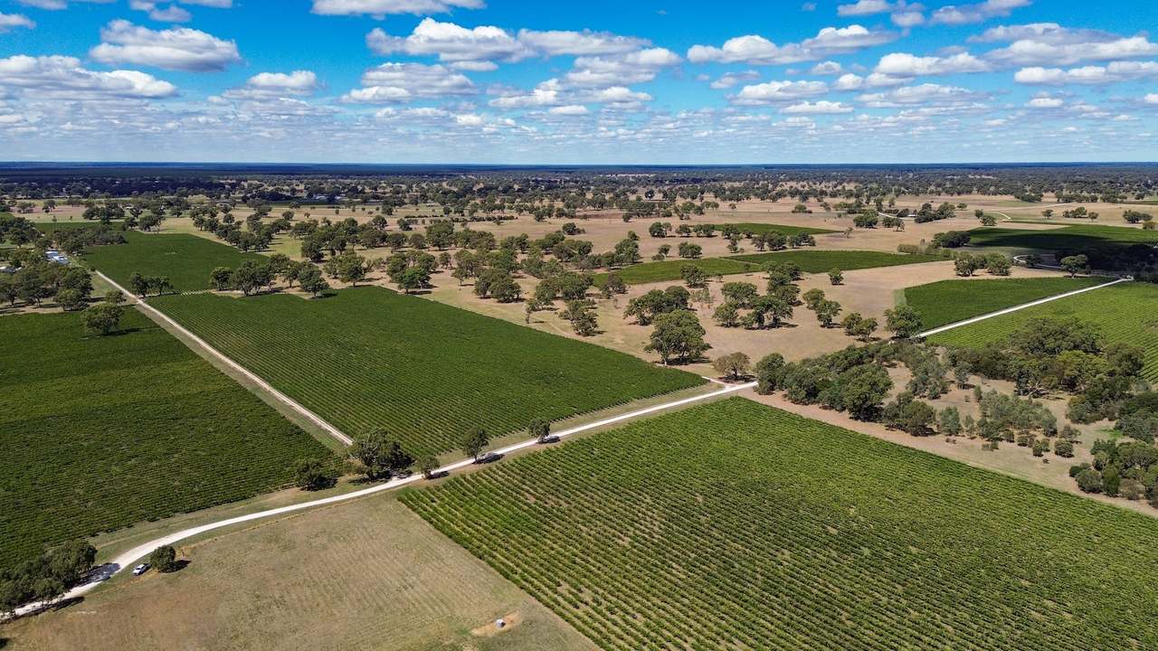 V&A Lane, Coonawarra For Sale by Farmbuy.com - image 2