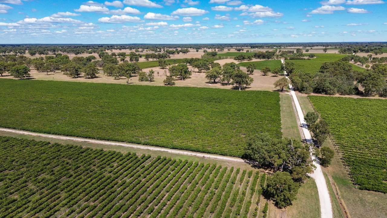 V&A Lane, Coonawarra For Sale by Farmbuy.com - image 24
