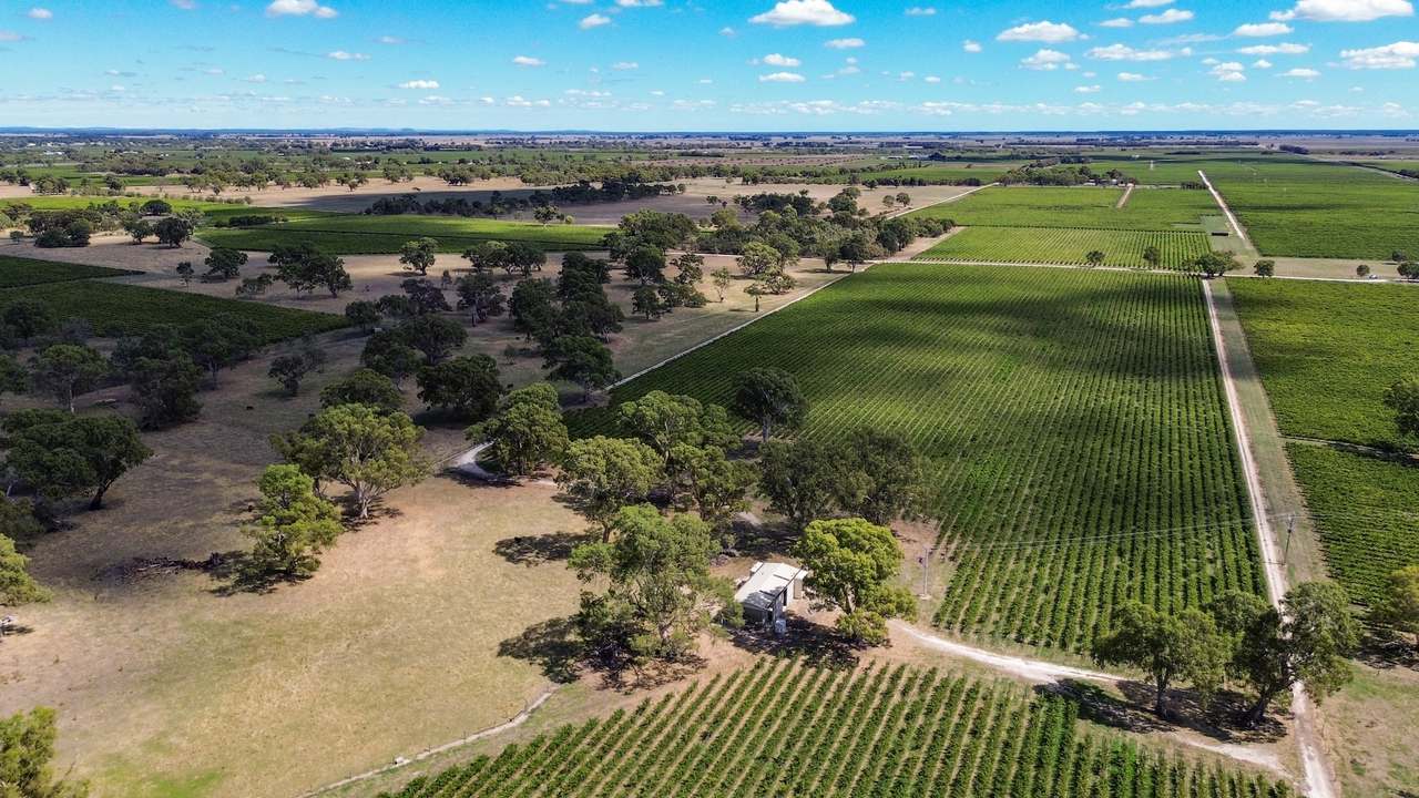 V&A Lane, Coonawarra For Sale by Farmbuy.com - image 18